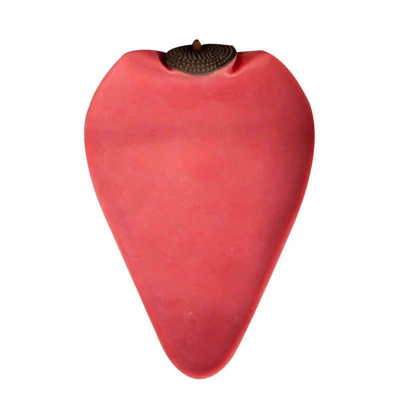 Imagen del producto 9